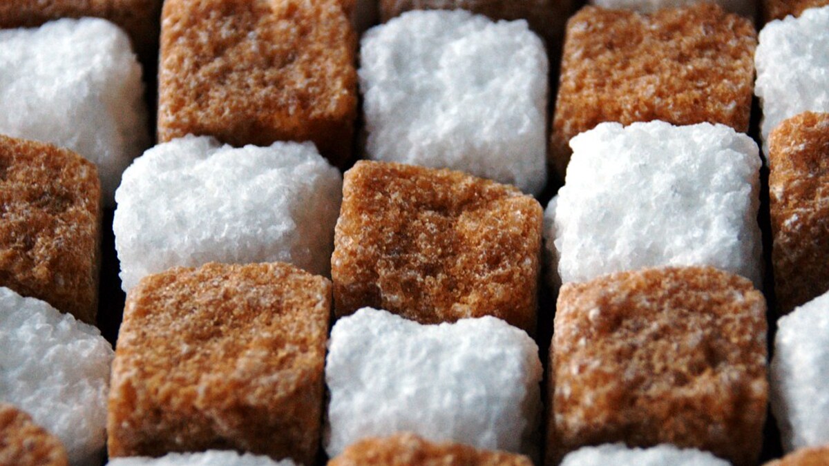 Morceaux de sucre blanc et brun pour comprendre la différence entre glucides et sucres