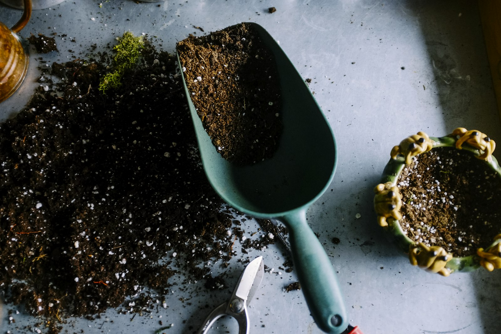 Jardin et produits du terroir
