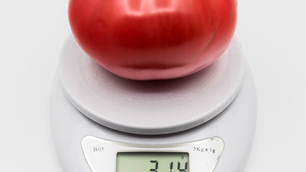 Tomate posée sur une balance de cuisine pour illustrer la conversion des grammes en kilos